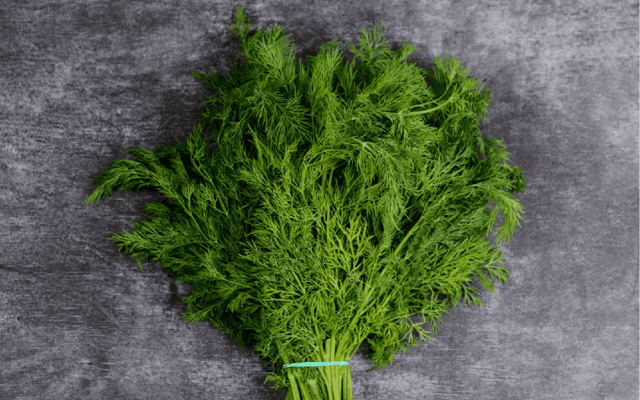 Top 7 Cooling Herbs and Spices for Dubai Cooking- Dill